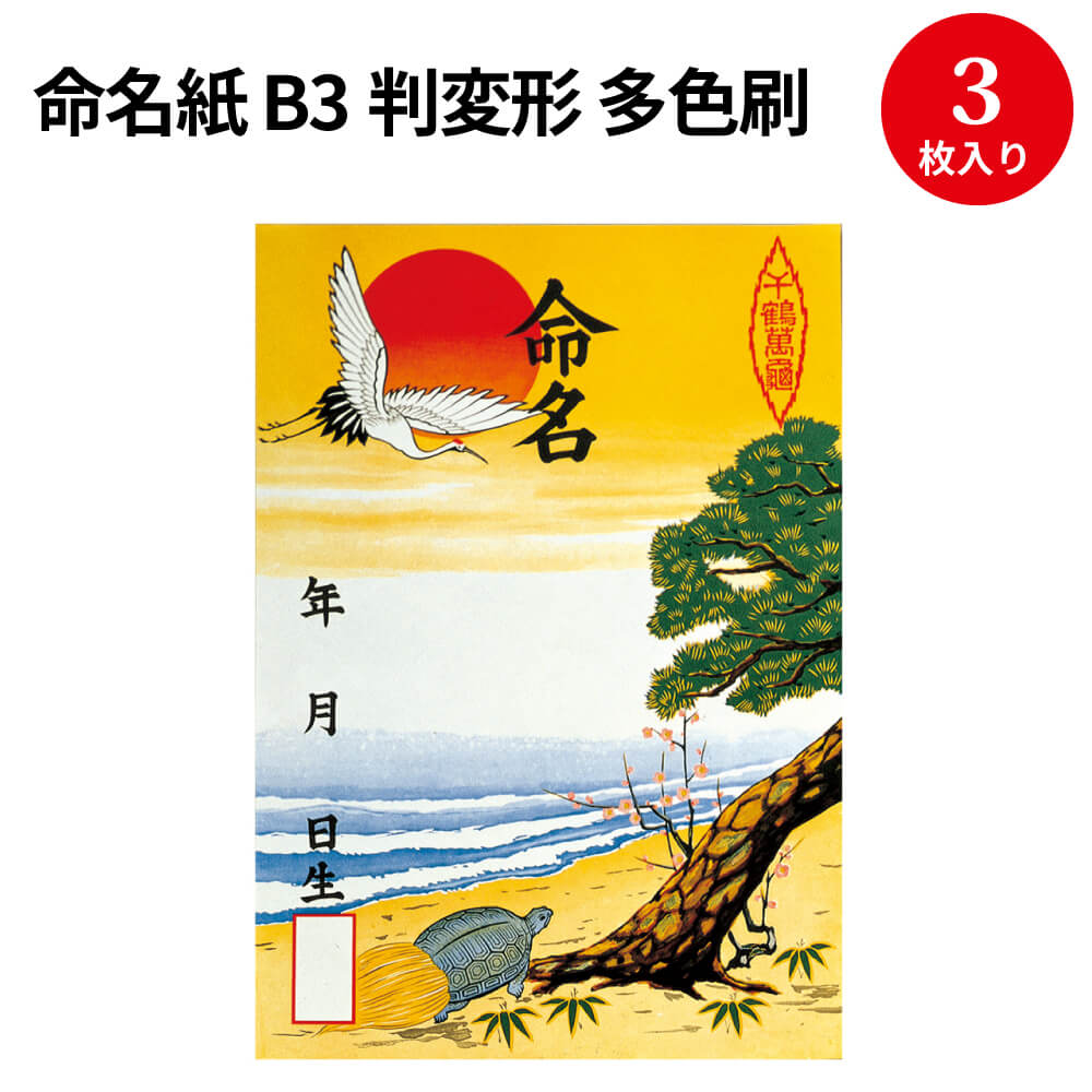 命名紙 B3判変形 多色刷 3枚入 28-301 | ササガワオンラインショップ